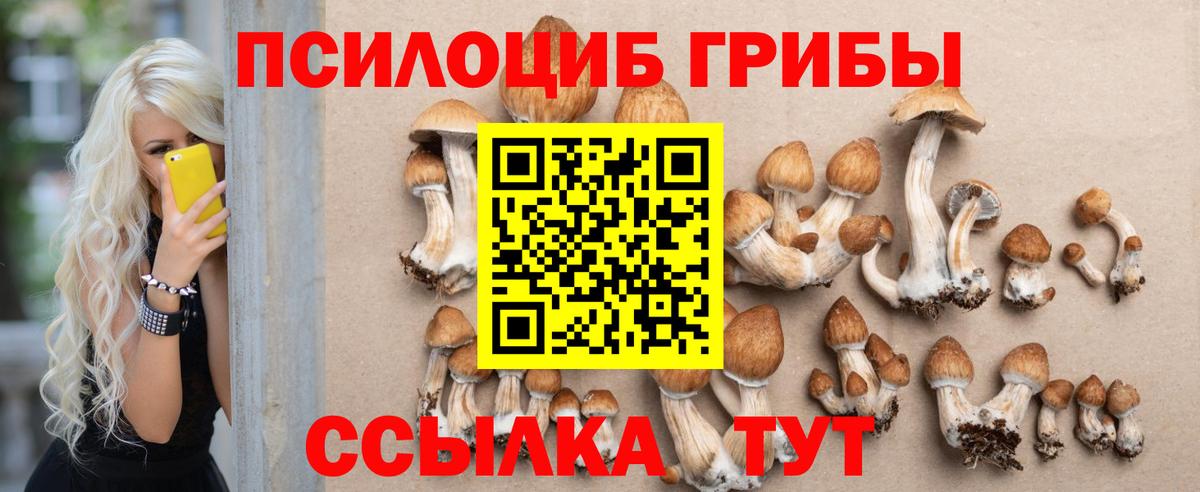 Ахтубинск  купить наркотики цена  Галлюциногенные грибы GOLDEN TEACHER  Вход с VPN  Псилоцибиновые грибы Magic Shrooms 