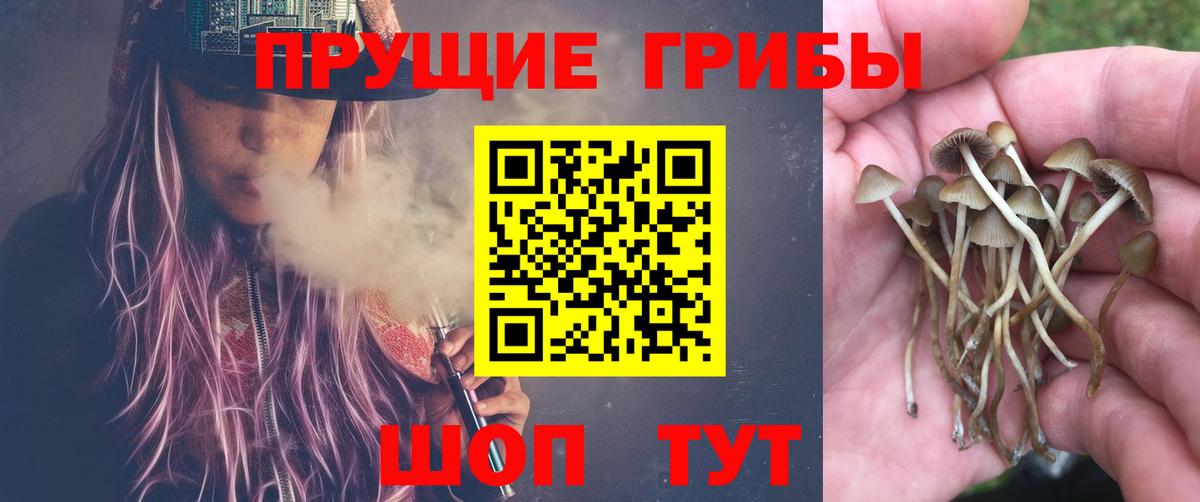 Галлюциногенные грибы Magic Shrooms Ахтубинск