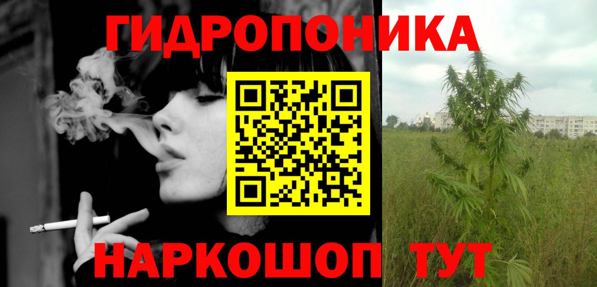 Ахтубинск  Каннабис Bruce Banner  Бошки марихуана сатива  Вход с VPN  Канабис планчик 